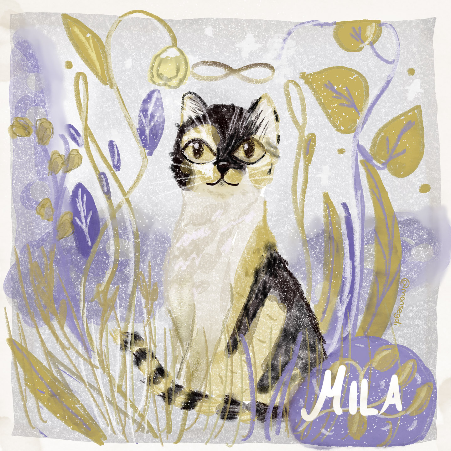 Ilustración 13
